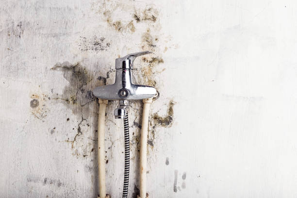 Office Mold Removal Services in Desert Hot Springs, CA