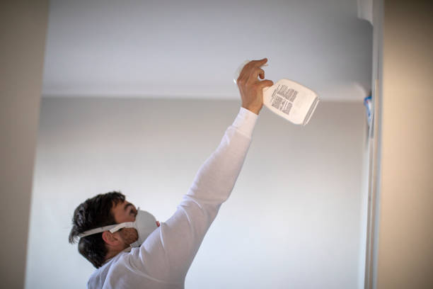 Best Professional Mold Removal  in Desert Hot Springs, CA