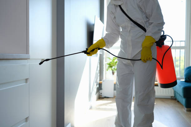 Best Residential Mold Removal  in Desert Hot Springs, CA