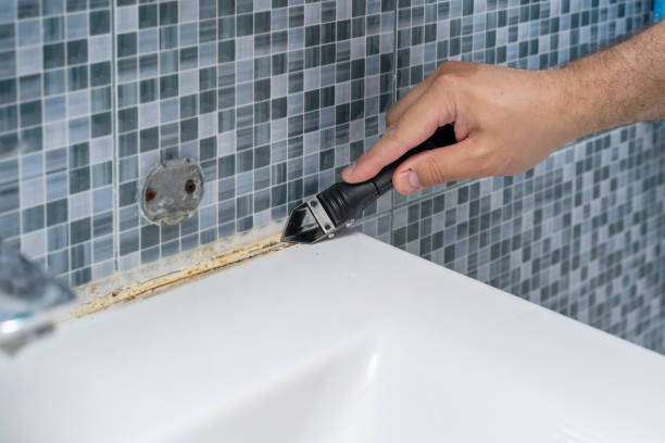 Best Fast Mold Removal  in Desert Hot Springs, CA