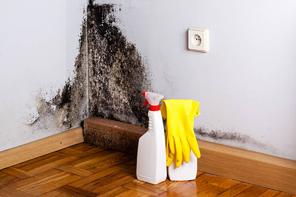 Best Crawl Space Mold Removal  in Desert Hot Springs, CA