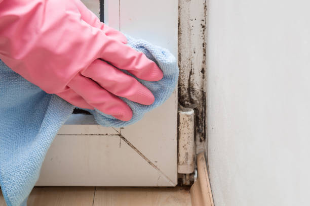 Best Mold Testing  in Desert Hot Springs, CA